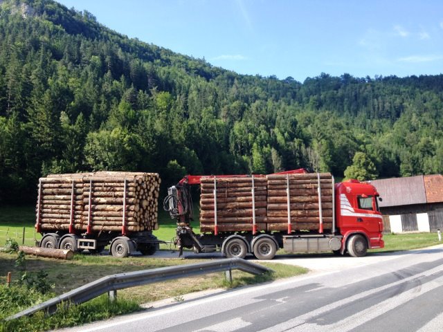 Transport von Rundholz